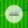 CricInNumbers's profile picture. Stats are a fascinating aspect of cricket, this handle brings you a 360° coverage of cricket stats