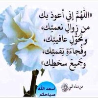يدا واحده من أجل الكويت🇰🇼 (@omahmed_61) 's Twitter Profile