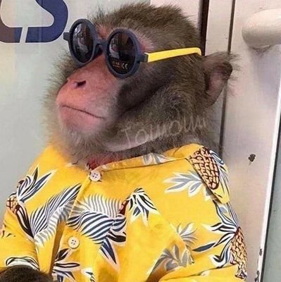 320Bk's profile picture. 