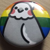 Cockatiel69.bsky.social (@cockatiel69) 's Twitter Profile