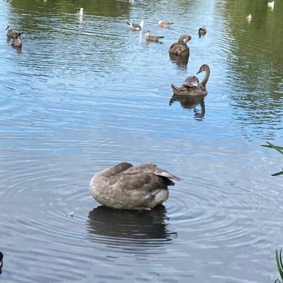 redappleon888's profile picture. 🐰😀