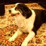 chanabelle's profile picture. 