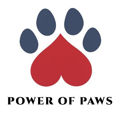shibasquadz's profile picture. power of paws online pet store. product/service. our unique pet carrier bags and capsule backpack. come check us out. ig: powerofpawz and https://t.co/YuHDyT2jf6