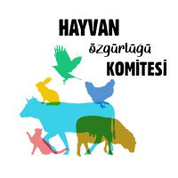 Hayvan Özgürlüğü Komitesi(@HKomitesi) 's Twitter Profile Photo
