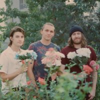 cardinal bloom (@cardinalbloom) 's Twitter Profile