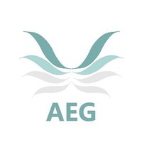 AEG (Anime Esports Gaming)(@AEGclanSNS) 's Twitter Profile Photo