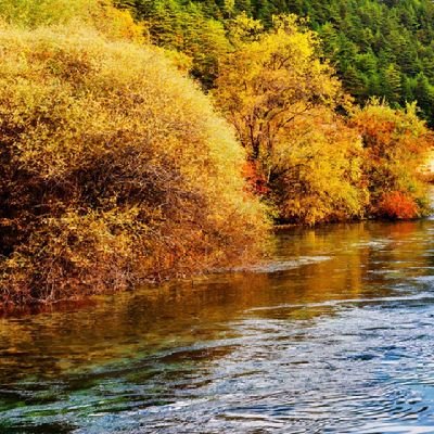 adil_lk's profile picture. Skeptic