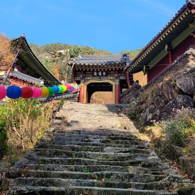 yFLbmcUHrm8tgqe's profile picture. 노빠 문파로 살아가는것이 나의운명