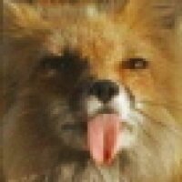 Vixen Strangely (@vixenstrangely) 's Twitter Profile