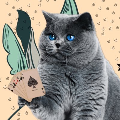 本現 実南呼(ほんげん みなこ)🐠⋆*さんのプロフィール画像