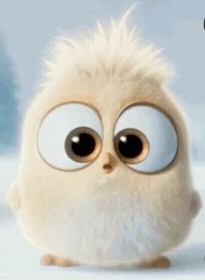 olaykolayolmadi's profile picture. 