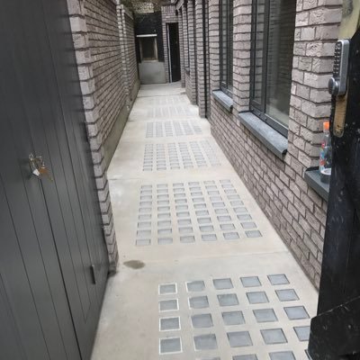 pavementlights's profile picture. Director