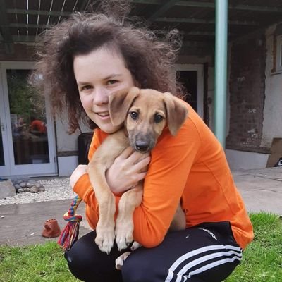 gwardie12's profile picture. 