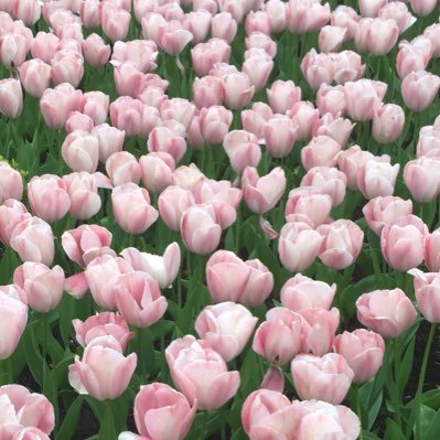 AudreyLinz's profile picture. 