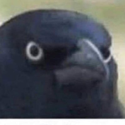 JackOAIlTrades's profile picture. tired. 26, they/them, autistic, eternally done