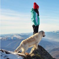 Ruth Henderson (@ruthhen05786097) 's Twitter Profile Photo Ruth Henderson (@ruthhen05786097) 's Twitter Profile Photo