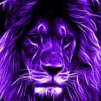 Dennis Meara (@dfmeara) 's Twitter Profile