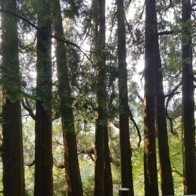 9wAAw's profile picture. 🌈🕒️推し　最推し🐕️🐾　🥨🍚
推し⚖️🍹👑📌🍕🎢🎤