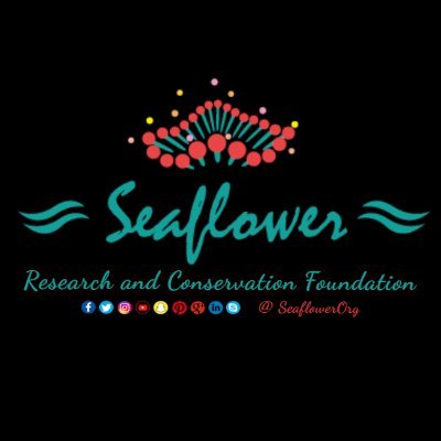 SeaflowerOrg Profile Picture