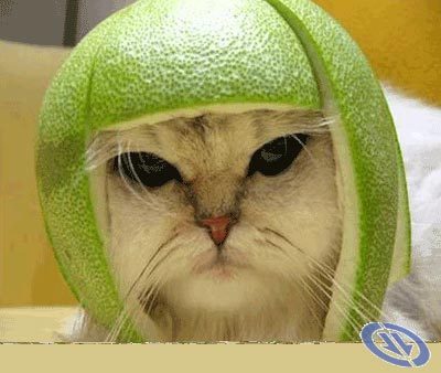 UncreatedCool's profile picture. whats the point of paying to go online for an xbox when u can do it for free on the ps3! where's the logic behind that?