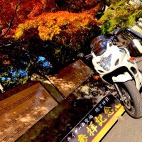 ひらやん (@kazuki_h0222) 's Twitter Profile