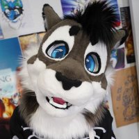 Gengi Cabbit(@gengicabbit) 's Twitter Profile Photo