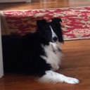 Cheryl Travers - @cattravers - Twitter