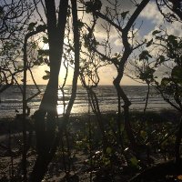 Weldon (@jwel10) 's Twitter Profile