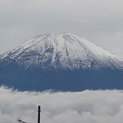 snowhappiness's profile picture. 