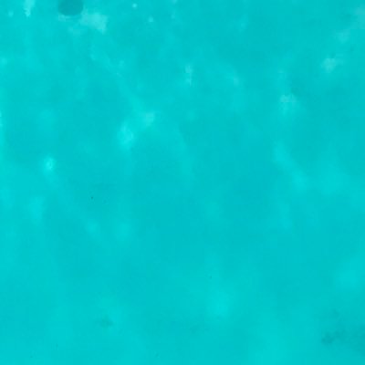海鮮丼𓆟さんのプロフィール画像