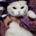 猫太郎@2025年社労士勉強中 (@nekosan2024) Twitter profile photo 猫太郎@2025年社労士勉強中 (@nekosan2024) Twitter profile photo