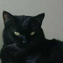 Chantal Kay's avatar