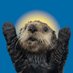 OtterZ (@otterzzzzz) Twitter profile photo OtterZ (@otterzzzzz) Twitter profile photo