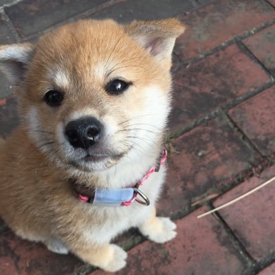 kaZu_ssbu's profile picture. O-VER-KiLL  KiLUA😈    気ままにライブ行きます🙇‍♂️ 後輩でもあります