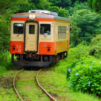 Ituki199509's profile picture. 成人済／NARUTO、ヒロアカ、Free！、文スト、金カム大好きです\( ･ω･ )/ カカテン 、カカイル、鮫イタや炎ホーが好物！ 最近のマイブームは魔道祖師