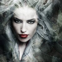 Julie A. D'Arcy (@juliedarcy57) 's Twitter Profile