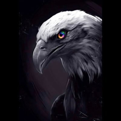 ShaheenH03's profile picture. Peripatetic😁