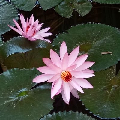 ganeshly's profile picture. yg penting berkah