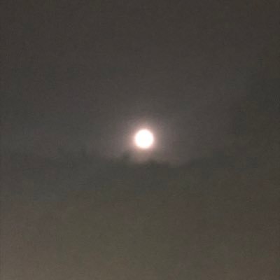 ださんのプロフィール画像