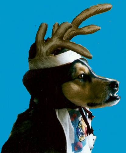 ivanthepounddog's profile picture. To cats, I am Ivan the Terrible. To my female fans, I am Ivan the Great. To most I am simply the author of: Ivan! A Pound Dog's View on Life, Love and Leashes.