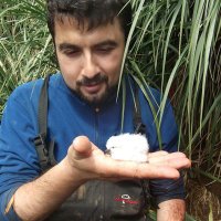 Joan Navarro (@joannavarro_icm) 's Twitter Profile Photo