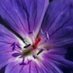 Arunachalam (@arunach41487303) Twitter profile photo Arunachalam (@arunach41487303) Twitter profile photo