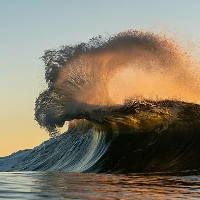 Majid88634628's profile picture. 