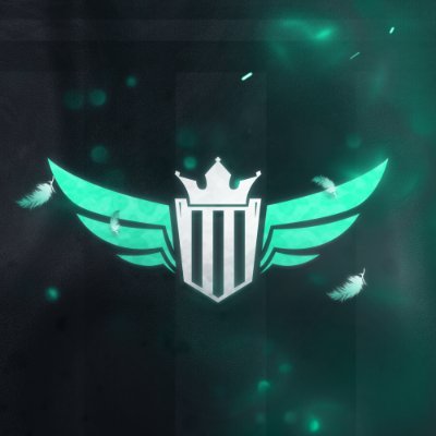 DaniFutTrader's profile picture. 🇩🇪 / FUT Top 100 Trader