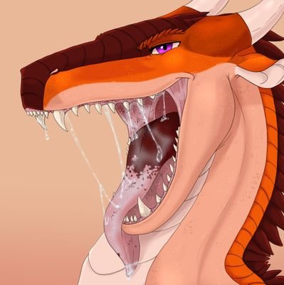 🌾🐲𝔹𝕒𝕪𝕠𝕦🐲🌾さんのプロフィール画像