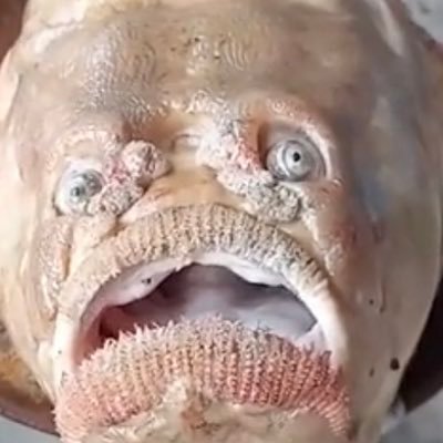 thereinvest's profile picture. Life is funny. Stocks and Stockholm. English, Swedish and Finnish. No stock recommendations.