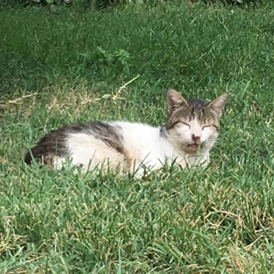 samposky1's profile picture. 行きたいところに行きます。