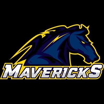 DunkerqueM's profile picture. Équipe de football américain du dunkerquois.
#TerrorSquad #BlueNation