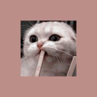 Lallisaaaa (@lalisaa95200613) 's Twitter Profile