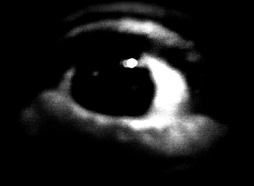 rrrooobbbppp's profile picture. The Artist. The MTBer. The Teach. The Fool.